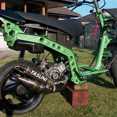 Piaggio nrg mc2 team speed