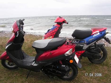 Adly Baotian BT50QT-9 billede 9