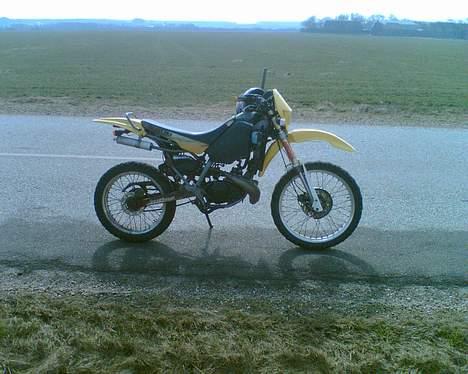 Suzuki (Solgt/byttet væk) - skulle jo lige ud og køer i det gode sol skind billede 6