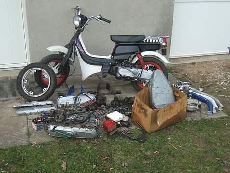 Suzuki fz50 byttet billede 2