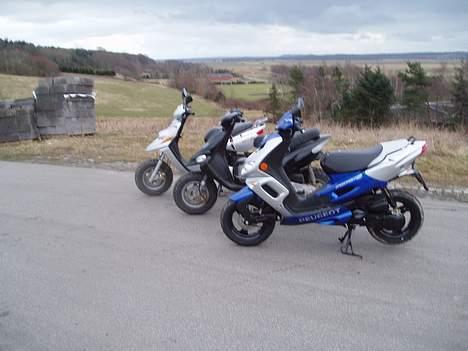 Gilera Stalker  til salg - Stalkeren, Thomas´s Bws og Jeppes Peugeot billede 8