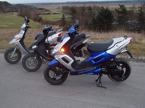 Gilera Stalker  til salg - Vores scootere igen, hvad for en er fedest..  billede 9