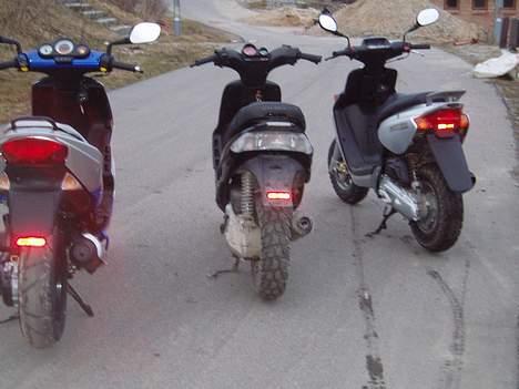 Gilera Stalker  til salg - Bagfra billede 10