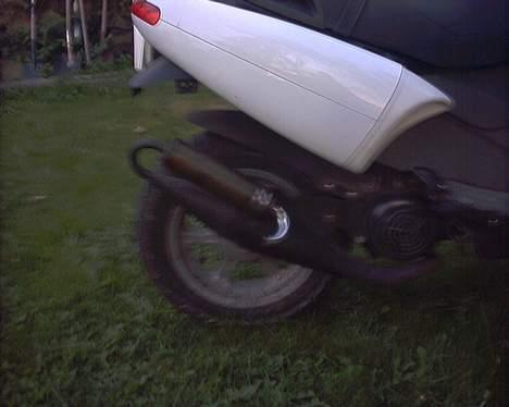 Benelli 491 gt SOLGT billede 5