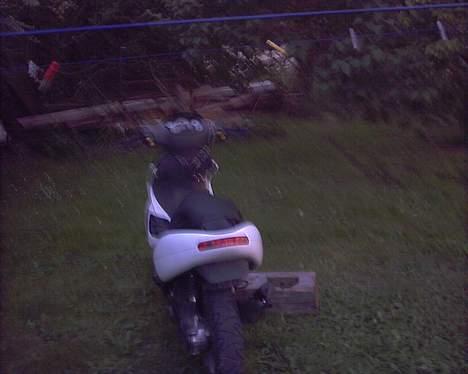 Benelli 491 gt SOLGT billede 6