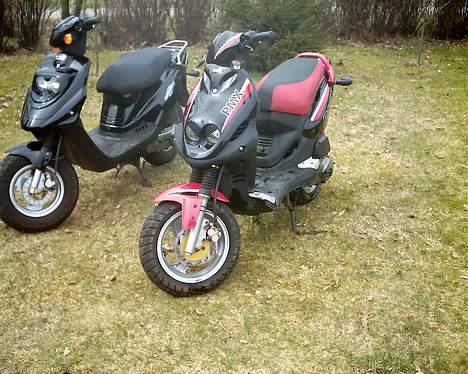 PGO PMX Sport (Byttet!) - billede 4