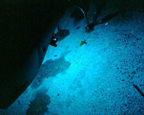 Adly abc comet <SOLGT> - mere neon :) billede 4