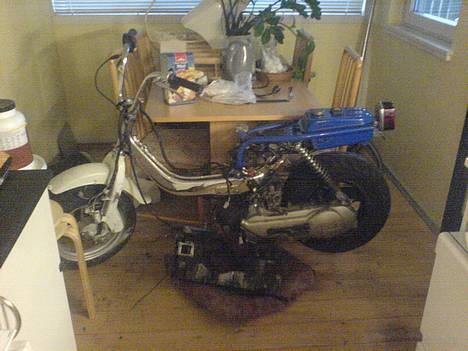 Suzuki fz 50 BYTTET billede 4