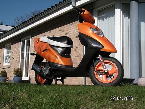 Honda SFX - | SOLGT | billede 20