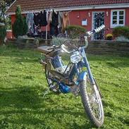Puch Maxi KL ¤¤THB Racing¤¤