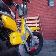 Suzuki Fz50