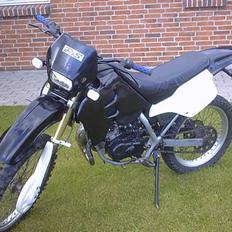 Suzuki RMX