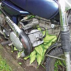 Yamaha  4 Gear (Tremmemissen)