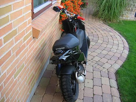 PGO Tornado >-{Black Beast}-< - 09.10.2005 billede 3