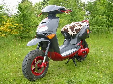 Aprilia rally billede 2