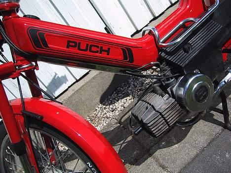 Puch maxi k KiG !! :D billede 5