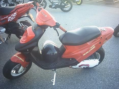 PGO Hot 50 ~ brændt ~ - Billede fra Scooter Træf D. 24 juli billede 2
