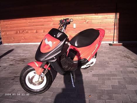 PGO Hot 50 ~ brændt ~ - De hvide pletter er "Phillip M" der har lavet dem snak lidt med ham om hvorfor ?!. http://www.scootergalleri.dk/html/gal_visbruger.asp?userID=14430 billede 6