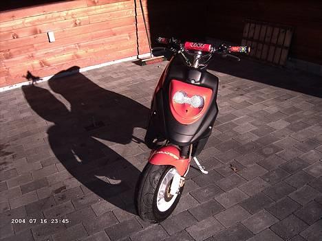 PGO Hot 50 ~ brændt ~ - billede forfra med tnt styr ;p billede 5