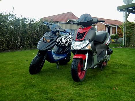 PGO Hot 50 - Her er de igen.. billede 3