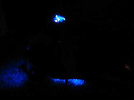 Aprilia Sonic billede 7