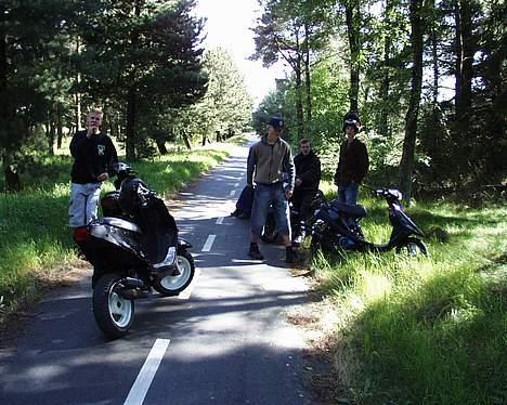 PGO Hot 50 (RaCinG) billede 6