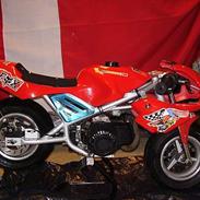 MiniBike SQ40A