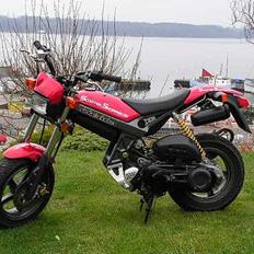 Suzuki Street Magic  Solgt
