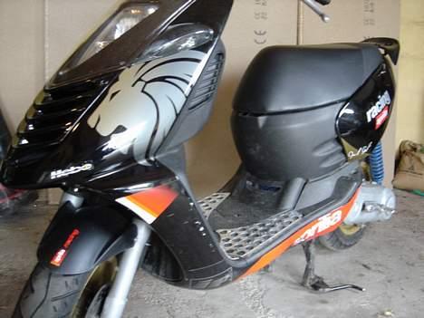 Aprilia Sonic AC GP (Solgt) billede 10