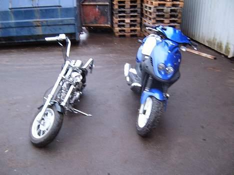 MiniBike chopper stjålet billede 15