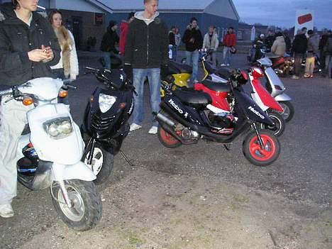 PGO hot 50 billede 3