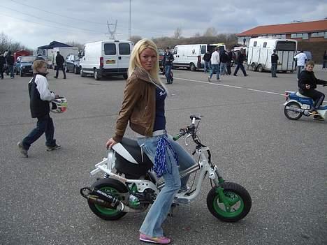Yamaha jog LC  >>Egholm-joggen<< billede 10