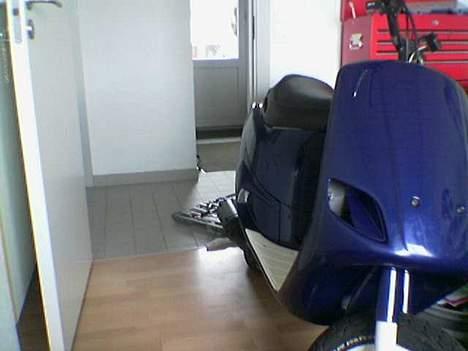 Piaggio Zip billede 15