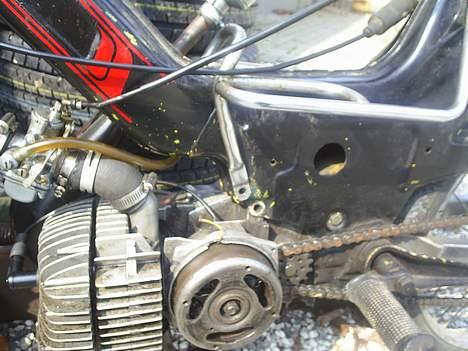 Puch Maxi PROJEKT billede 4