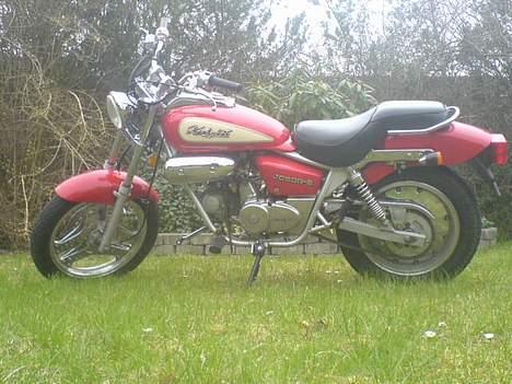 Jincheng knight [solgt] billede 2