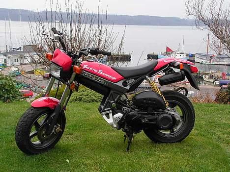 Suzuki Street Magic  Solgt - Suzuki Street Magic´en billede 1