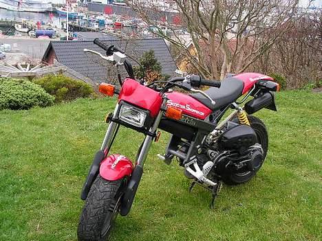 Suzuki Street Magic  Solgt - Suzuki Street Magic´en billede 2