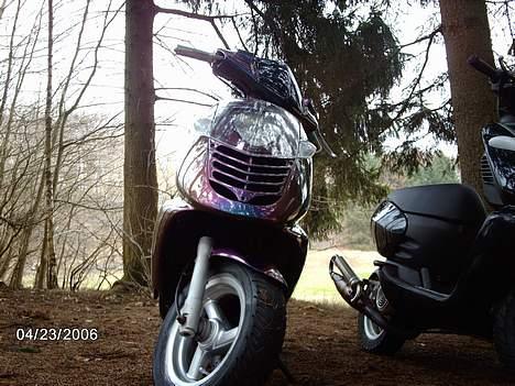 Aprilia Sonic LC - ¨gammelt billede billede 18