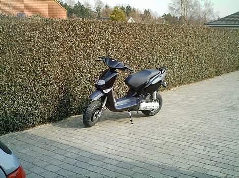 Aprilia Rally AC billede 6