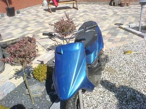 Yamaha axis billede 5