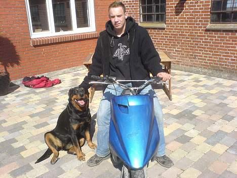 Yamaha axis billede 8