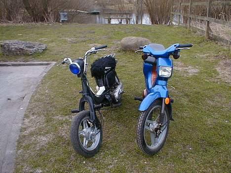 Honda WallaRoo (BYTTET) billede 11