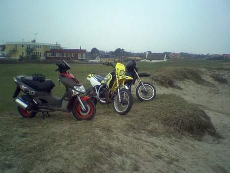 Suzuki SMX (Solgt) billede 16