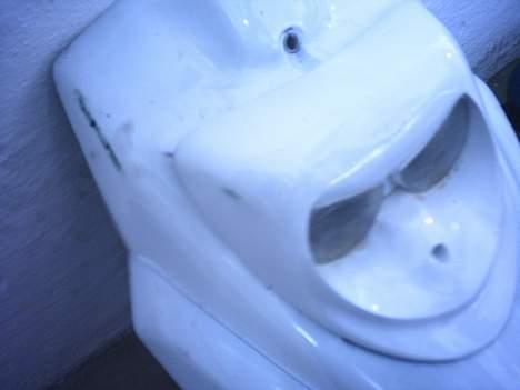 PGO Hot 50 (Solgt) - der kommer helt nye skjolde på... så den her er tilsalg hvis der er nogen der vil købe den billede 2