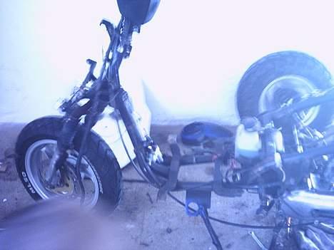 PGO Hot 50 (Solgt) - Så kommer der Skam os 12" dr.big fælge på.... billede 13