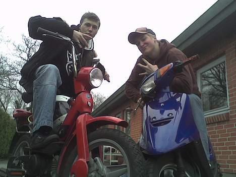 Piaggio Grillo aka. rød Ferrari - Wannabe Gangsters . :D:D billede 7