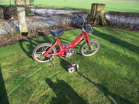 Puch Maxi k SOLGT billede 1