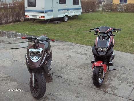 PGO PMX sport solgt ;(  billede 11