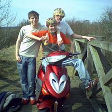 Adly silverfox #Team-Spjald#