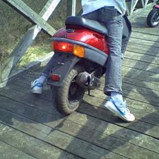 Adly silverfox #Team-Spjald#